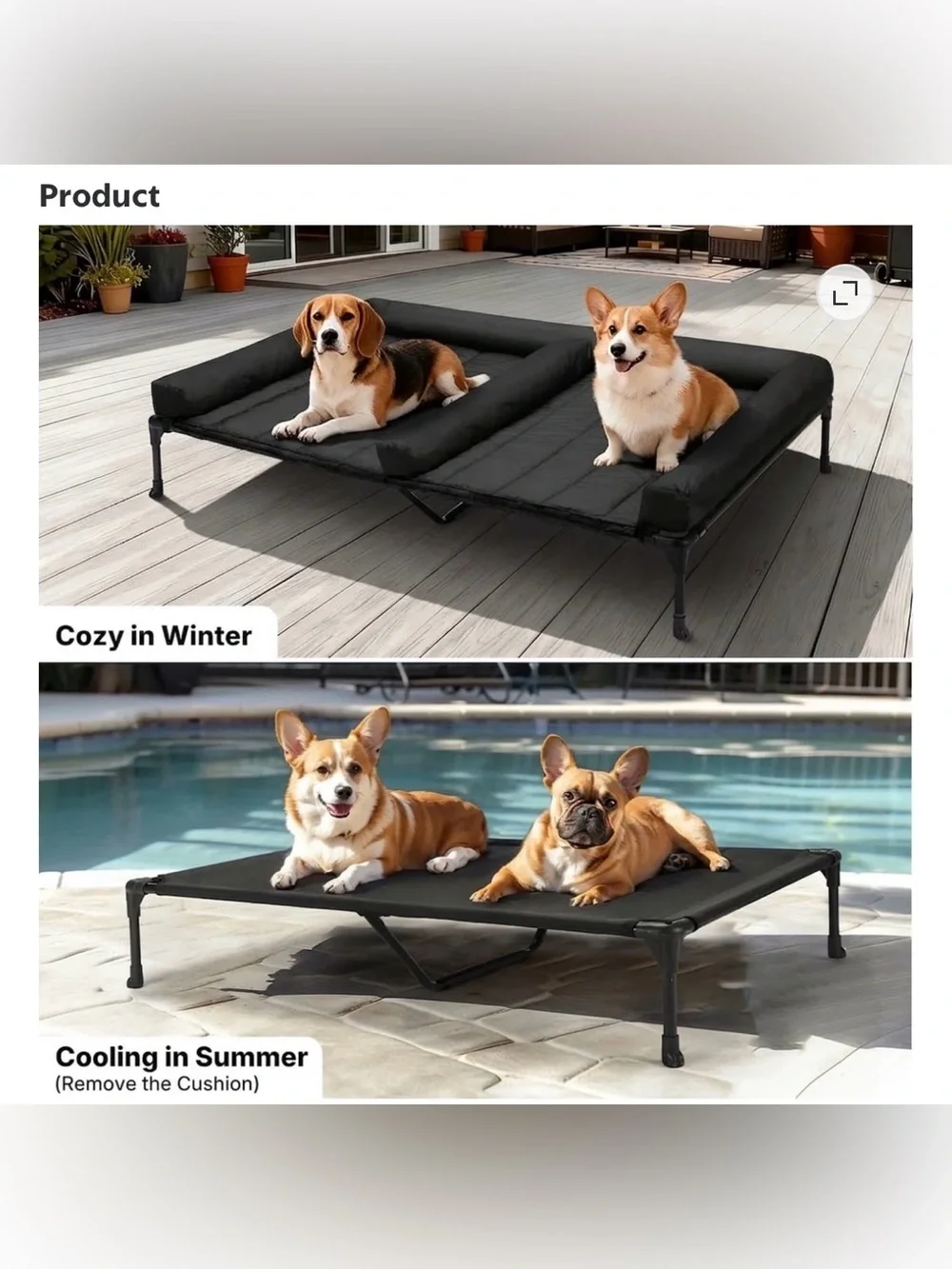Elevated Dog Bed For Two Dogs